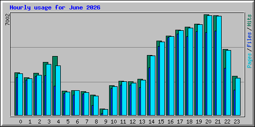 Hourly usage for June 2026